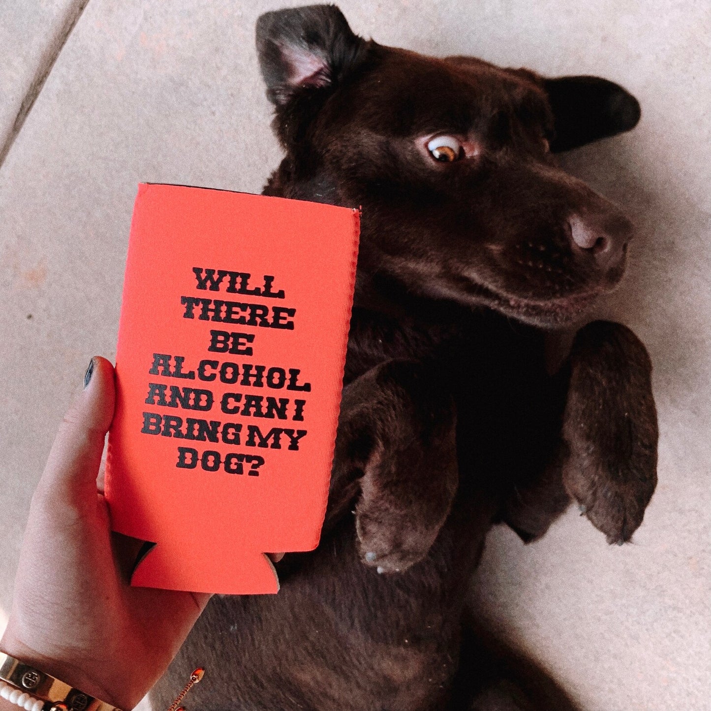 Will There Be Alcohol And Can I Bring My Dog Can Cooler- Gifts For Dog Lovers